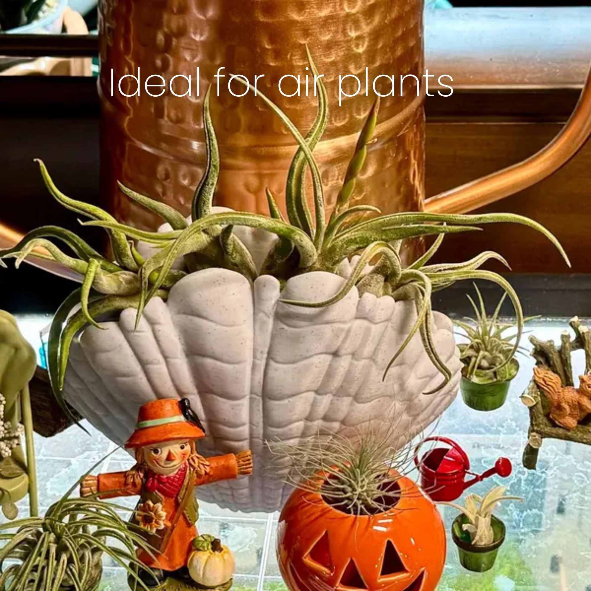 Elegant Centerpiece Shell Vase – Stunning Beach - Inspired Décor - Image 9