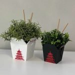 Chinese Take out Planter pot - Cute Box with FREE Chopsticks