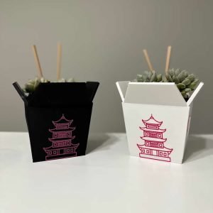 Chinese Planter Take-Out Box - FREE TWO CHOPSTICKS - Chinese Take out Planter - takeout chinese - 3D printed planter