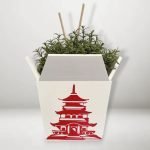 Chinese Takeout Planter Set – Large Size with Tray