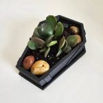 Halloween coffin planter – spooky plant pot with drainage