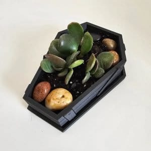 Halloween Decor Coffin - Planter Pots With Drainage - Home Decor - Spooky Plant Pot - Gothic Garden - Hoco Pucus - 3D Printed