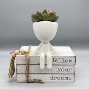 People Planters Seated Posed,  Gift For Her,  People Planter,  Succulent Planter, Plant Pot Robert, Cute Planter Pot