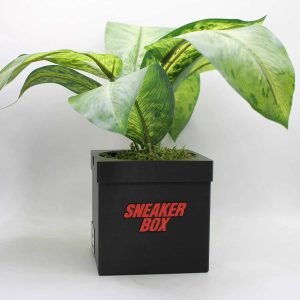 Sneakers Box Planter Pot - 3D Printed - Sneakers Box Decor - Plant Pot for Indoor Plants - Unique planter for indoor with Drainage hole