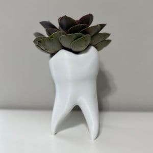Tooth Shape Plant Pot - Cute Tooth Planter - Dentist Gift Ideas - Tooth Home Decor - Dental Office Decor - Dentist Office Pen Holder