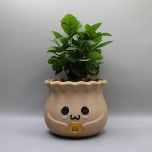 kawaii Bao Bun planter pot with drainage, plant lovers gift, pot Smiling Plant Pot, Kawaii Cute plant pot , Smiling Face Planter