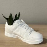 Sneakers Dunks Planter Pot 3D Printed