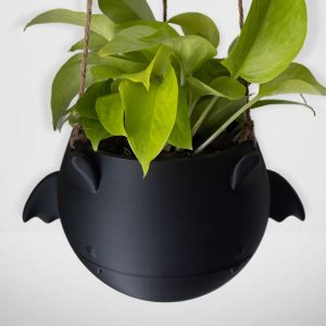 Bat Hanging Planter Pot - Hanging kit included - Flying Bat - Succulent Planter - 3D Printed - Gardening Enthusiasts- Halloween Decor
