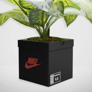 Sneakers Box Planter Pot 3D Printed - BLACK - Sneakers Box Decor- Plant Pot for Indoor Plants - Unique planter for indoor with Drainage hole