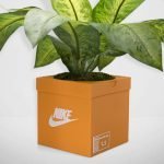 sneakers box planter Orange durable