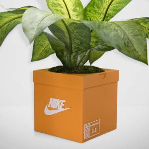 Sneakers Box Planter Pot 3D Printed - ORANGE - Sneakers Box Decor- Plant Pot for Indoor Plants - Unique planter for indoor with Drainage hole