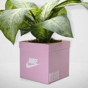 Sneakers Box Planter Pot 3D Printed - PINK - Sneakers Box Decor- Plant Pot for Indoor Plants - Unique planter for indoor with Drainage hole