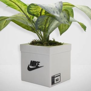 Sneakers Box Planter Pot 3D Printed - WHITE - Sneakers Box Decor- Plant Pot for Indoor Plants - Unique planter for indoor with Drainage hole