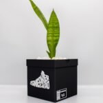 Sneakerhead Box Planter Pot - Unique planter with Drainage hole